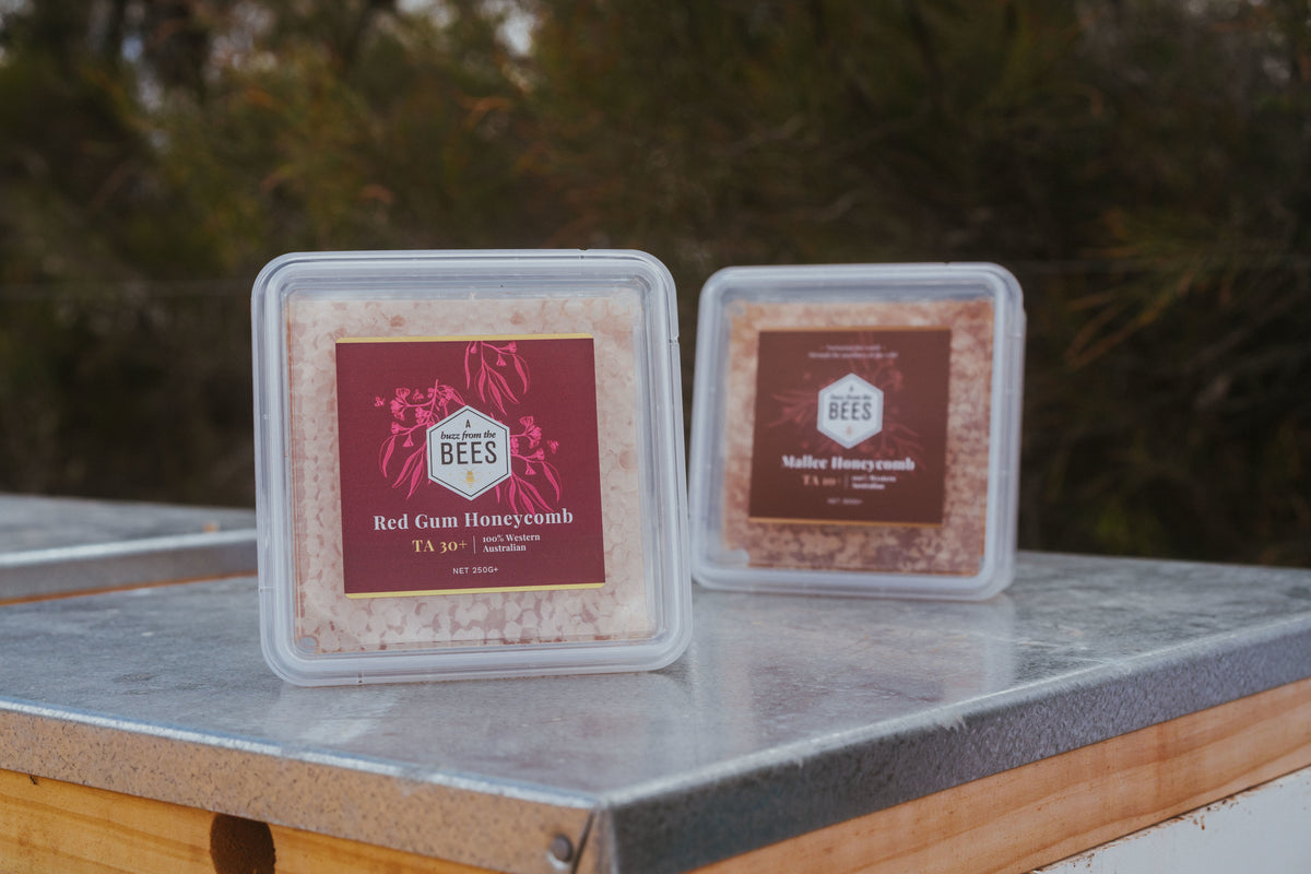 Red Gum (TA30+) A Buzz from the Bees